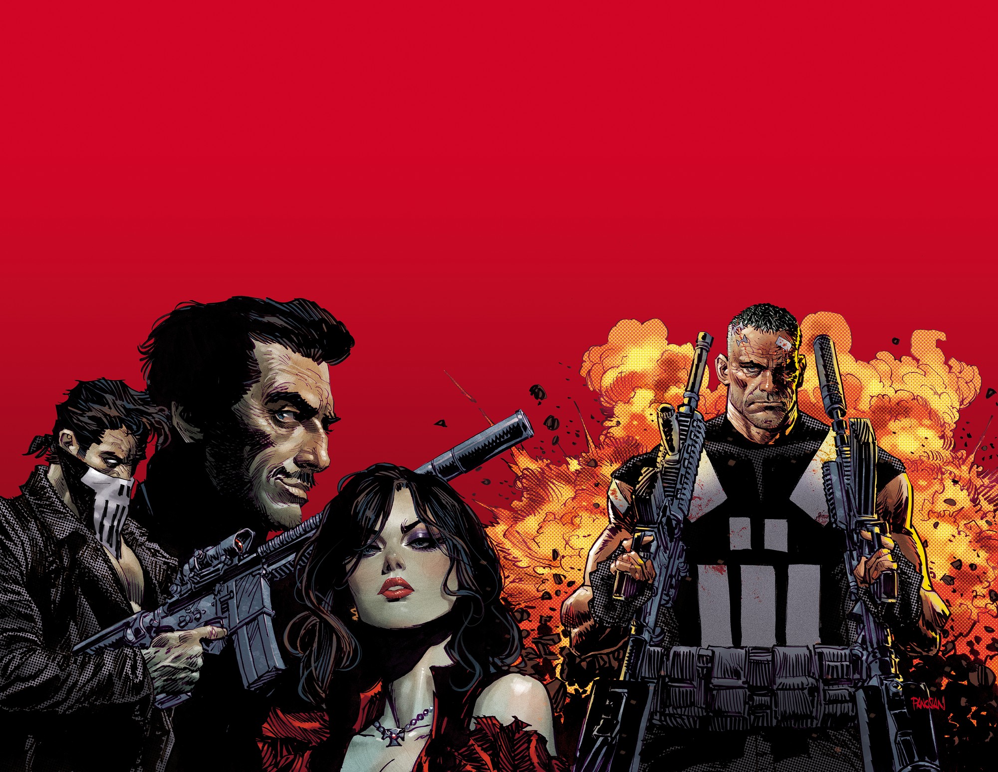 Cover of Marvel Knights: Punisher
