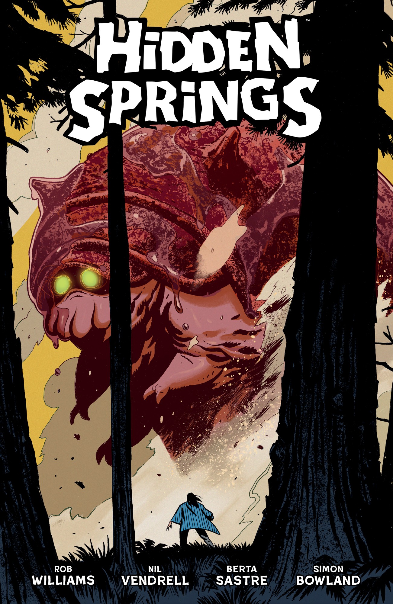 Cover of Hidden Springs