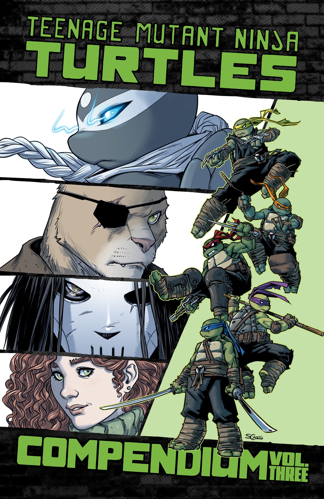 Cover of Teenage Mutant Ninja Turtles: Ongoing Compendium, Vol. 3